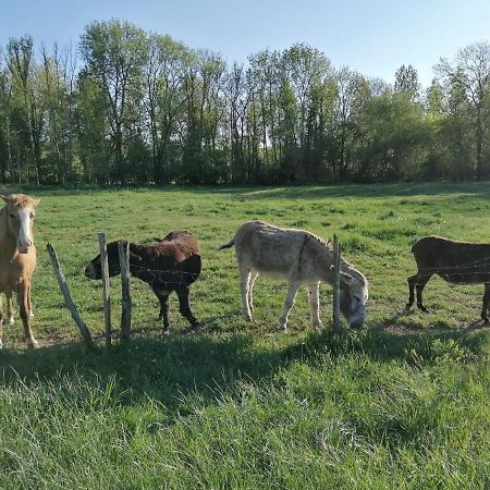 Chambre D'Hotes Esprit De Famille Landreville Kültér fotó