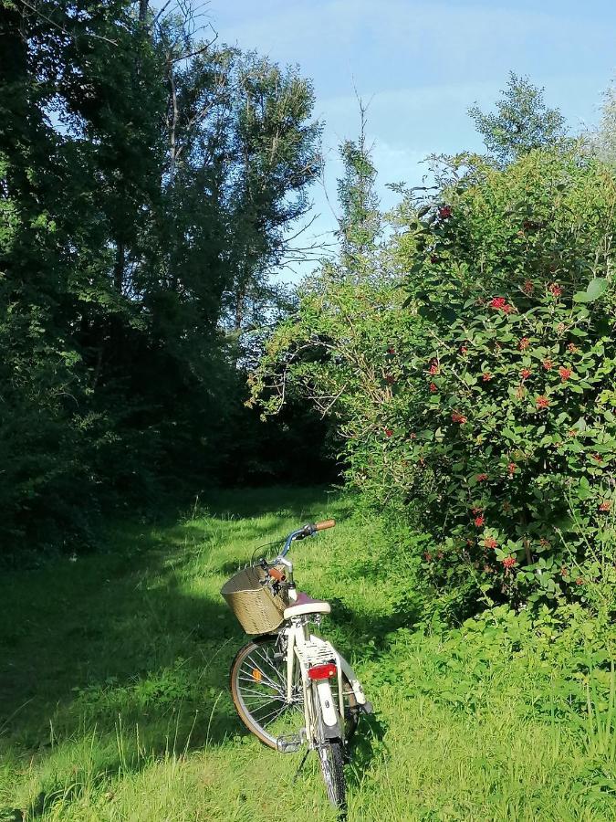 Chambre D'Hotes Esprit De Famille Landreville Kültér fotó